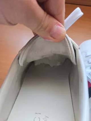 Zapatillas Gucci Edición Limitada