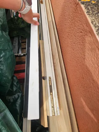 Puertas dobles de salón blancas