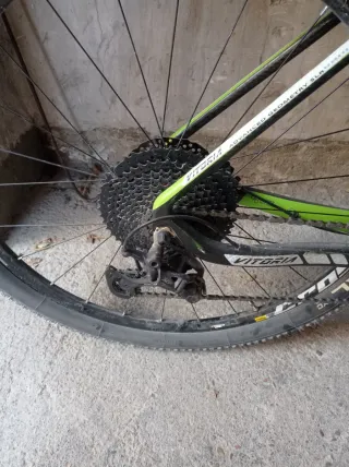 Bicicleta Montaña Vittoria 29er Carbono talla L