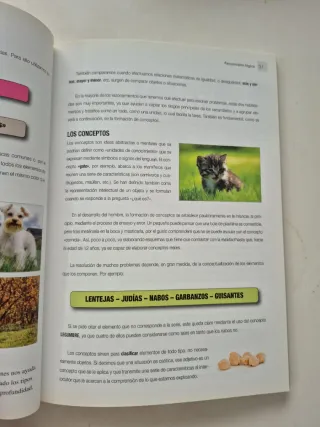 Test y Juegos de Entrenamiento Mental (Spanish ...