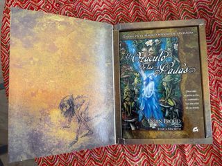 Libro El Oráculo de las Hadas + 66 Cartas