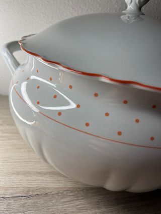 Zuppiera Richard Ginori porcellana pois