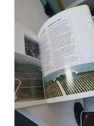 Libro, Los vinos de Jerez.