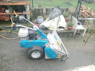 Motocultor Bertolini BTS gasolina
