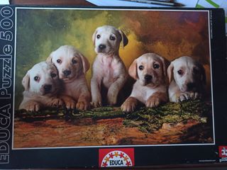 A124. Puzzle Perritos Educa 500 piezas completo