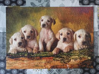 A124. Puzzle Perritos Educa 500 piezas completo