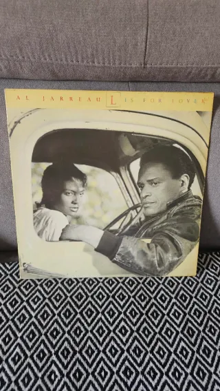 Lote 10 Vinilos música internacional