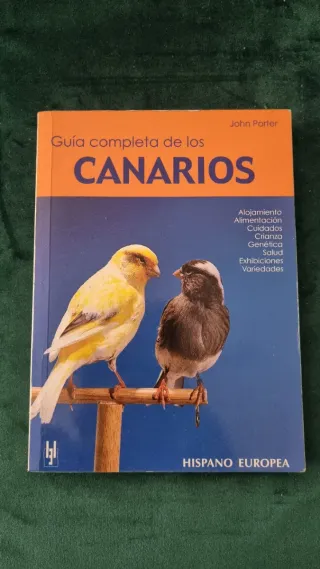Guía completa de los Canarios