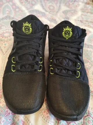 Zapatillas Nike Lebron VIII Negras y Verdes