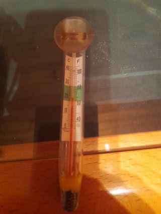 Surtido accesorios acuario 50 litros