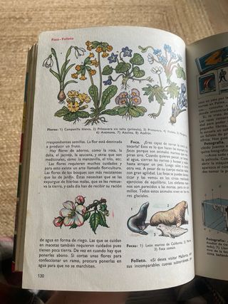 LIBRO MUNDO INFANTIL años 50