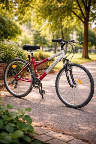 Pack 2 Bicicletas Montaña Rodado 26