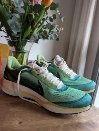 Zapatillas Nike Pegasus Verdes Talla 47'5