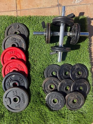 Lote Mancuernas y Discos de Pesas
