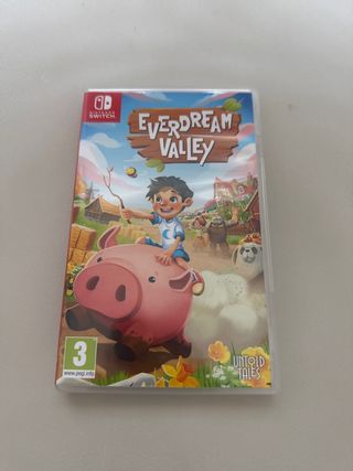 Everdream Valley Switch Nintendo