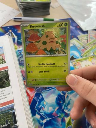 Lote cartas pokemon