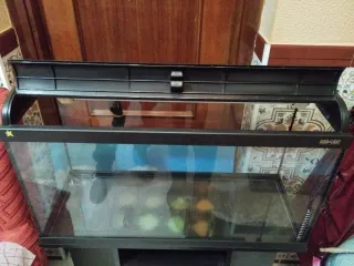 Acuario 100L con mesa