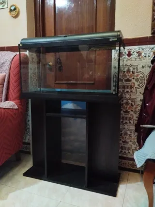 Acuario 100L con mesa
