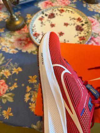 Nike Zoom Pegasus 40 Rojas Talla 43