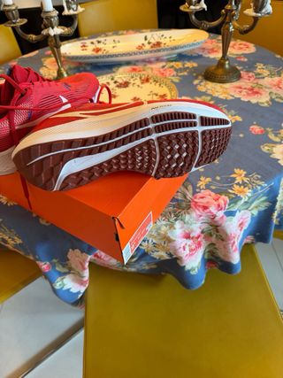 Nike Zoom Pegasus 40 Rojas Talla 43