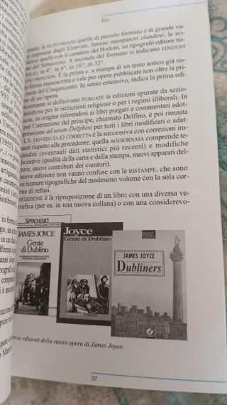 Piccolo dizionario dell'editoria le parole più ...