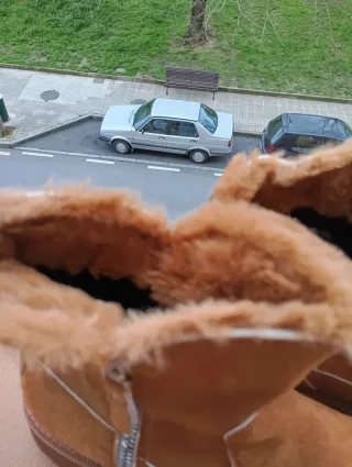 Botines marrones nuevos