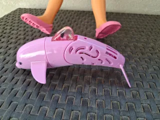 Nancy de natación con delfín