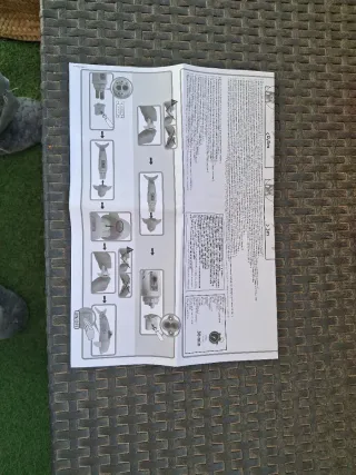 Nancy de natación con delfín