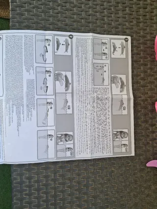 Nancy de natación con delfín