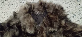 Chaquetón de piel marmoa natural. Talla 38/40.