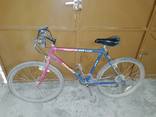 Bicicleta de Montaña