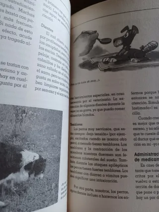 El nuevo libro para comprender a tu perro