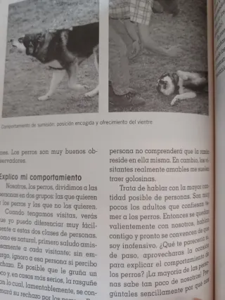 El nuevo libro para comprender a tu perro