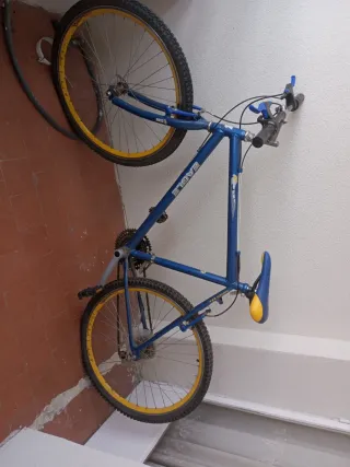 Bicicleta de adulto azul