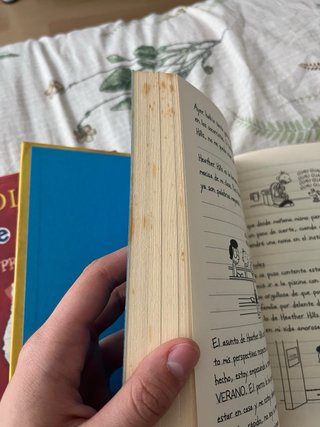 Libros el diario de Greg
