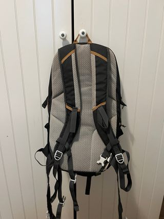 Mochila Quechua 20L Negra/Gris