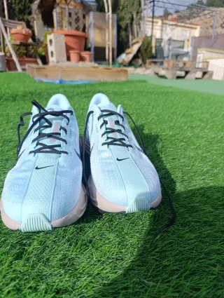 Nike Air ZoomX Pegasus plus