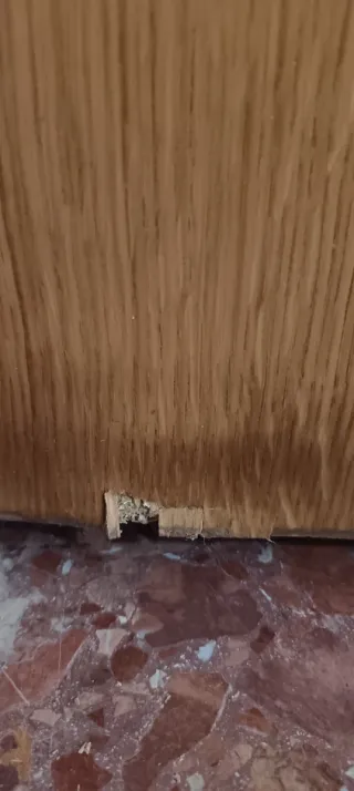 Puertas de roble macizo