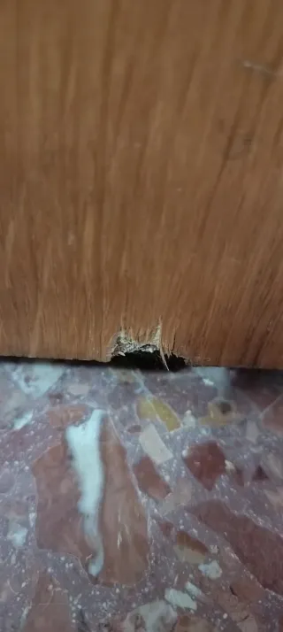 Puertas de roble macizo