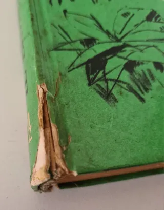 Il Libro della Jungla - prima edizione 1960