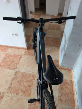 Orbea Wild M10 Carbono Talla L (385km)