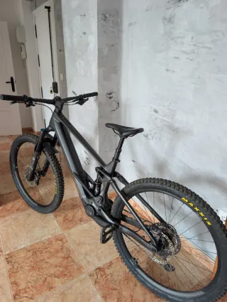 Orbea Wild M10 Carbono Talla L (385km)