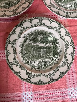 2 Platos Staffordshire Verdes