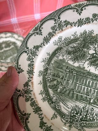 2 Platos Staffordshire Verdes