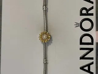 Charm Girasol con sello Plata S925