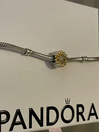 Charm Girasol con sello Plata S925