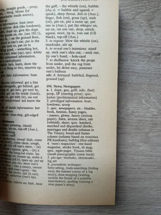 The Slang Thesaurus