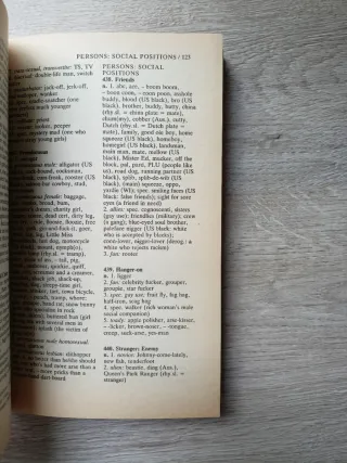 The Slang Thesaurus