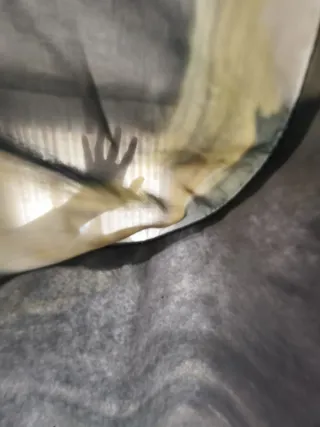 Disfraz de merluza de despedida