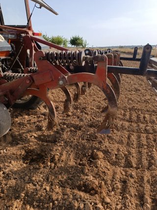 Cultivador Chisel 11 Brazos